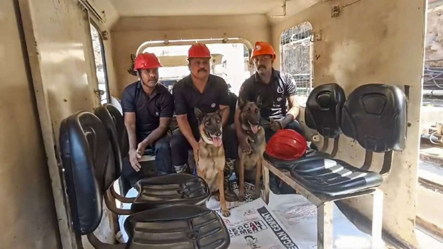 तेलंगाना की टनल में 7 लोगों को ढूंढने में जुटे ये कुत्ते हैं बेहद खास; जानें रेस्क्यू में कैसे बनेंगे ‘संकटमोचक’