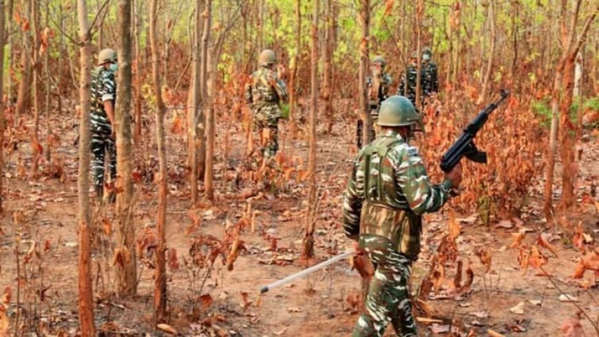 झारखंड के बोकारो में मुठभेड़, सुरक्षा बलों ने 6 नक्सलियों को किया ढेर, SLR और INSAS राइफल बरामद