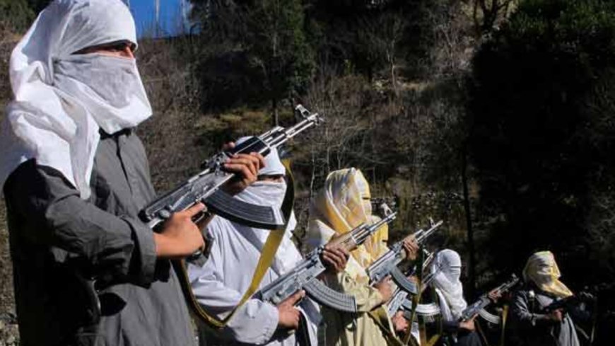 ना 'पाक' पाकिस्तान: सैफुल्लाह ही नहीं, अपने ही देश में कुत्तों की मौत मारे गए कई टॉप कमांडर्स, देखें लिस्ट
