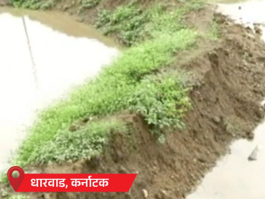 देश में 25 मई से 2 जून तक नौतपा:राजस्थान में पारा 48°C पहुंचा; MP के 17, UP के 65 जिलों में बारिश का अलर्ट