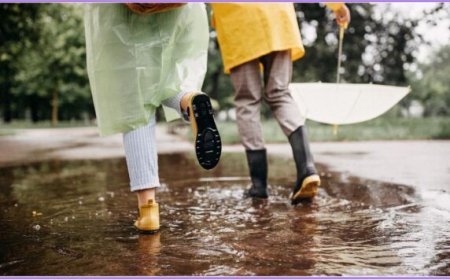 उत्तर प्रदेश मौसम अपडेट: 11 जिलों में भारी बारिश और 18 जिलों में आकाशीय बिजली का ऑरेंज अलर्ट