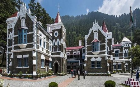 उत्तराखंड हाईकोर्ट का बड़ा फैसला, पंचायत चुनाव निरस्त!