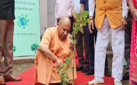 उत्तर प्रदेश में वृक्षावरण को बढ़ाने की नई रणनीति, सीएम योगी का 2030 तक 15% लक्ष्य