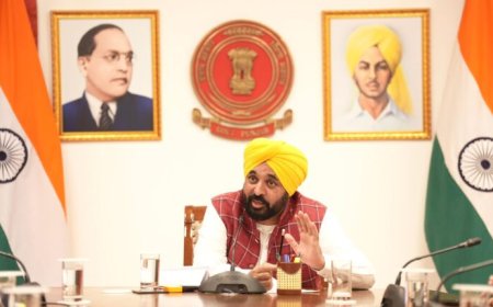 मुख्यमंत्री भगवंत मान ने अखाड़ा गांव बायोगैस प्लांट विवाद का समाधान करने के लिए संयुक्त कमेटी की स्थापना की