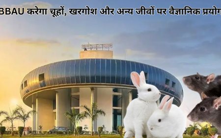 BBAU को फार्मास्युटिकल रिसर्च हेतु राष्ट्रीय मान्यता, वैज्ञानिक प्रयोगों में होगा नवाचार