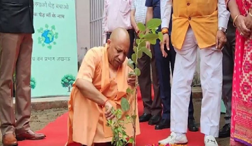 उत्तर प्रदेश में बढ़ेगा ग्रीन कवर, सीएम योगी के विजन के तहत 2030 तक वृक्षावरण 15% तक पहुंचाने का लक्ष्य