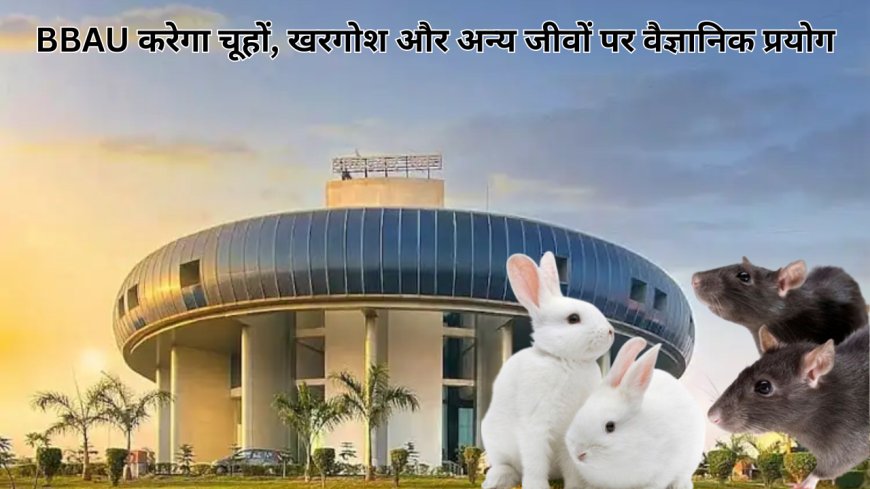 BBAU करेगा चूहों, खरगोश और अन्य जीवों पर वैज्ञानिक प्रयोग, फार्मास्युटिकल रिसर्च के लिए मिली राष्ट्रीय मान्यता