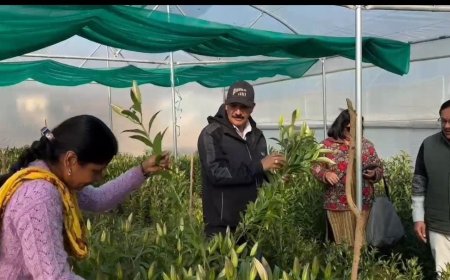 उतराखंड की मातृशक्ति का नया सपना: लिलियम फूलों की खेती से आत्मनिर्भरता