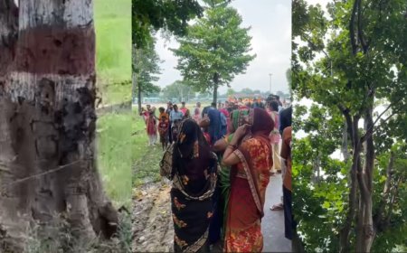 बाराबंकी में पेड़ से गिरने वाला पानी: एक प्राकृतिक रहस्य और वैज्ञानिक जड़ों का ज्ञान