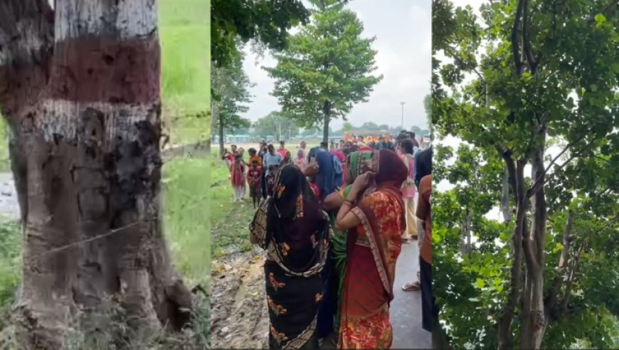 बाराबंकी का वो पेड़ जो बन गया ‘पानी का फव्वारा’, वायरल वीडियो के पीछे छुपा है ये वैज्ञानिक राज!