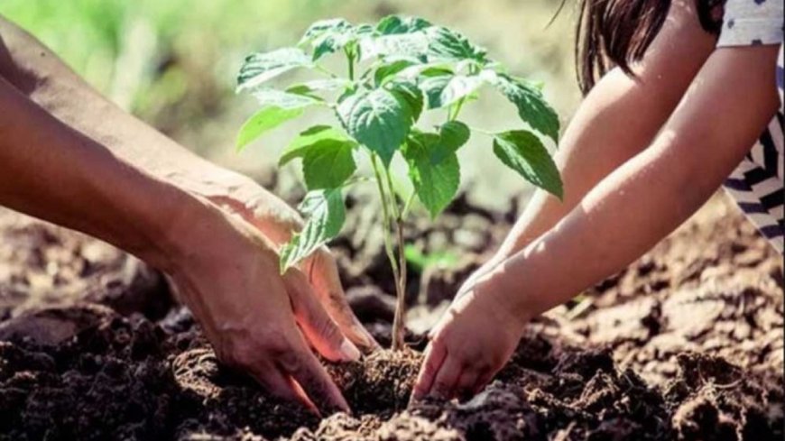शिक्षकों के सम्मान में ''एक पेड़ गुरु के नाम'': मुख्यमंत्री योगी के निर्देश पर वन विभाग की नई पहल