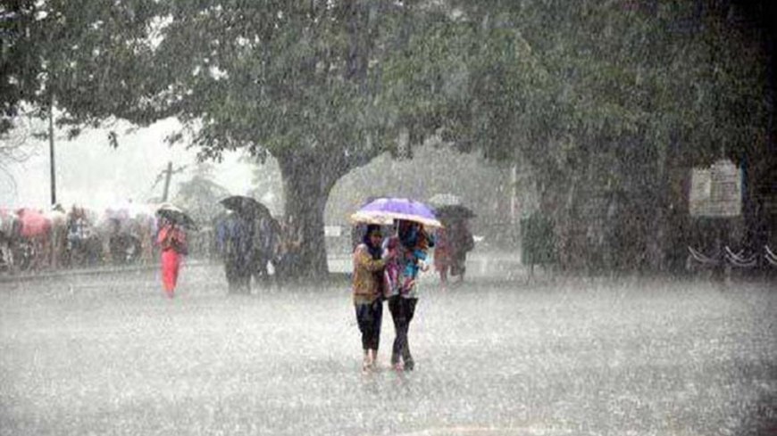 यूपी में मानसून की तेजी: 24 घंटे में बारिश में 94% की वृद्धि, 20 जिलों में IMD का अलर्ट