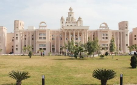 उत्तराखंड में स्थापित होंगी दो नई विश्वविद्यालय, युवा शिक्षा और कौशल विकास का मिलेगा नया अवसर