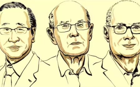 नोबेल पुरस्कार 2025: जापान, अमेरिका और ऑस्ट्रेलिया के वैज्ञानिकों को मेटल-ऑर्गेनिक फ्रेमवर्क्स की खोज के लिए मिला प्रतिष्ठित पुरस्कार
