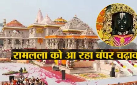 अब तक रामलला को 3 हजार करोड़ का दान, अध्यक्ष नृपेंद्र मिश्र बोले- बड़े समारोह में सम्मानित किए जाएंगे दानदाता