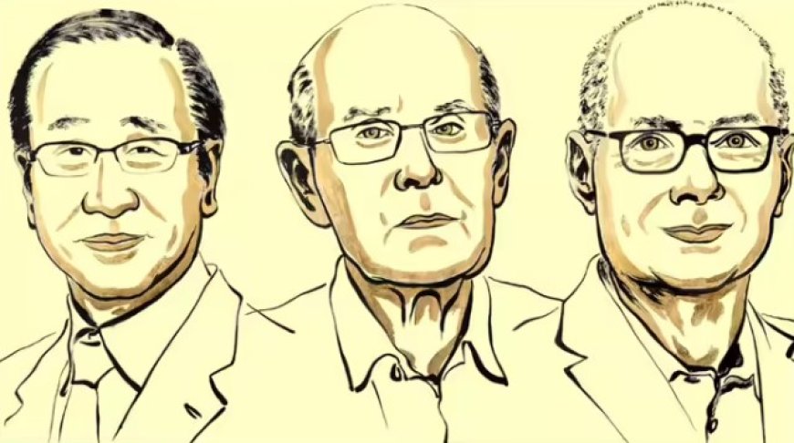 नोबेल पुरस्कार 2025: जापान, अमेरिका और ऑस्ट्रेलिया के वैज्ञानिकों को मेटल-ऑर्गेनिक फ्रेमवर्क्स की खोज के लिए मिला प्रतिष्ठित पुरस्कार