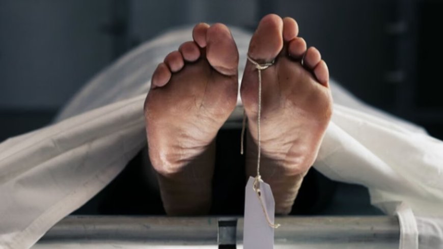 Lucknow News: घर के आंगन में मिला वृद्धा का शव, बेटे पर हत्या का आरोप