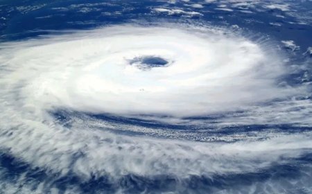 पूरे देश में करवट बदल रहा मौसम, उत्तर भारत में चक्रवाती तूफान मोंथा का असर, IMD ने जारी किया अलर्ट