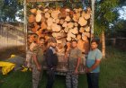 उत्तराखंड: वन विभाग की प्रभावी कार्रवाई, अवैध खैर लकड़ी से भरी डीसीएम हुई जब्ती