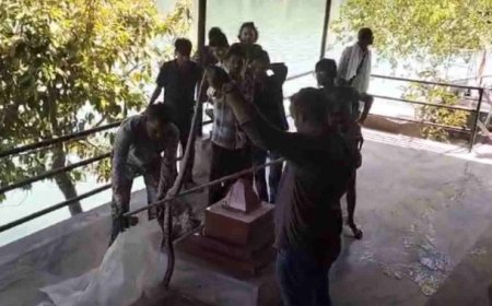 ऋषिकेश: गंगा आरती स्थल पर दिखा विशाल कॉपरहेड सांप, मच गई अराजकता; वन विभाग का सफल रेस्क्यू