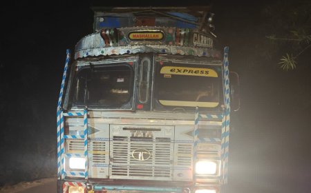 पीलीभीत में बिना कागज लकड़ी के ट्रक पर 140899 रुपये का जुर्माना