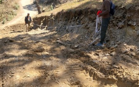 सिंचाई विभाग पर मुकदमा, वन विभाग की कार्रवाई से दो विभागों में टकराव, जानें पूरी जानकारी