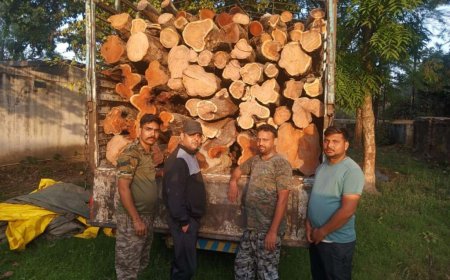 उत्तराखंड: वन विभाग की प्रभावी कार्रवाई, अवैध खैर लकड़ी से भरी डीसीएम हुई जब्ती