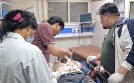 बागेश्वर में बारात की तेज रफ्तार बोलेरो पलटी, 11 घायल, 2 की हालत गंभीर