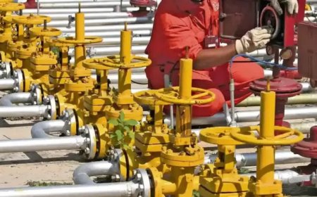 उत्तराखंड: हल्द्वानी में अब पाइप के जरिए घर-घर गैस सेवा, PNG कनेक्शन की शुरुआत