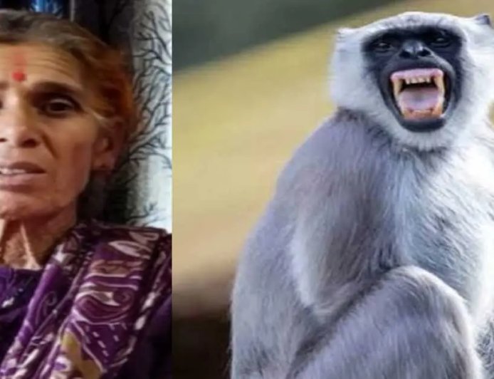 पीठौरागढ़ समाचार: बेरीनाग में लंगूर के हमले से महिला की अकाल मृत्यु