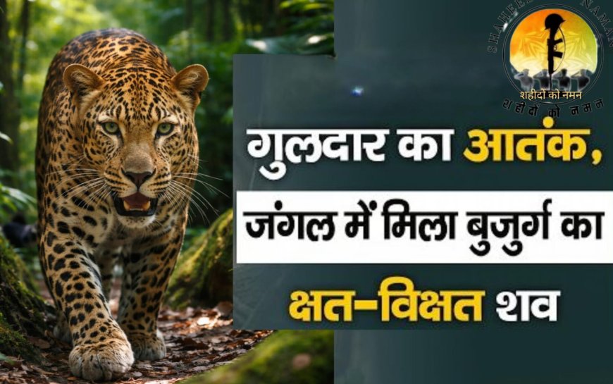 उत्तराखण्ड मुक्त विश्वविद्यालय और श्रीलंका ओपन यूनिवर्सिटी के बीच हुआ एमओयू, नई दिशा में बढ़ा अंतरराष्ट्रीय अकादमिक सहयोग