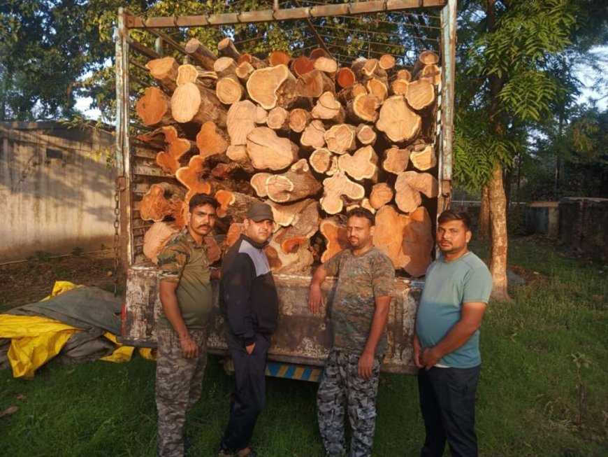 उत्तराखंड: वन विभाग की प्रभावी कार्रवाई, अवैध खैर लकड़ी से भरी डीसीएम हुई जब्ती