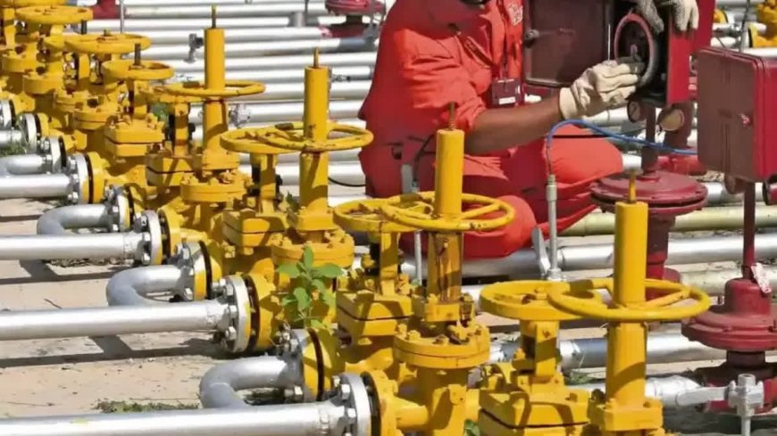 उत्तराखंड: हल्द्वानी में अब पाइप के जरिए घर-घर गैस सेवा, PNG कनेक्शन की शुरुआत