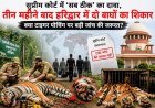 क्या उत्तराखंड में बाघ के शिकारियों पर सीबीआई का अंकुश आवश्यक है?