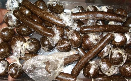 हल्द्वानी: फैशन बुटीक में छुपा था नशे का अड्डा, 5 किलो चरस बरामद