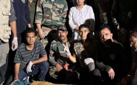 ट्रैंकुलाइज किए गए संदिग्ध बाघ की पहचान होगी डीएनए जांच से, ग्रामीणों की मौत का राज सुलझेगा