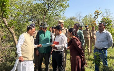 उत्तराखंड में नर और मादा टाइगर की हत्या से मचा हड़कंप, वन मंत्री सुबोध उनियाल का श्यामपुर रेंज दौरा
