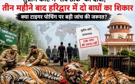 क्या उत्तराखंड में बाघ के शिकारियों पर सीबीआई का अंकुश आवश्यक है?