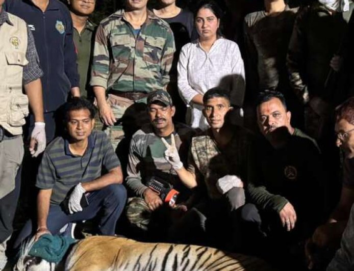 ट्रैंकुलाइज किए गए संदिग्ध बाघ की पहचान होगी डीएनए जांच से, ग्रामीणों की मौत का राज सुलझेगा
