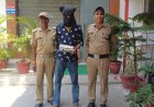 रामनगर पुलिस का ‘ऑपरेशन प्रहार’: अवैध हथियार के साथ गिरफ्तार हुआ शातिर अपराधी