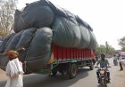 नैनीताल: डीएम ने भूसे के अनावश्यक भण्डारण और परिवहन पर लगाया रोक