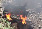 उत्तराखंड: दर्दनाक सड़क हादसा, खाई में गिरी कार में लगी आग, दो लोगों की मौत
