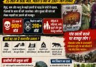 उत्तराखंड में वन्यजीव संकट: 25 वर्षों में 900 से अधिक जानें गंवाने वाले गांव
