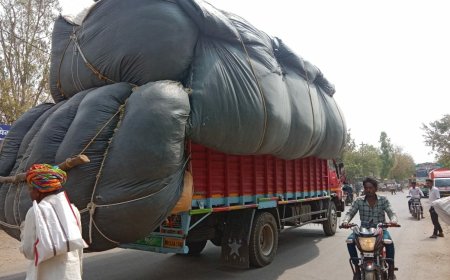 नैनीताल :(बड़ी खबर) डीएम ने भूसे पर लगाई रोक