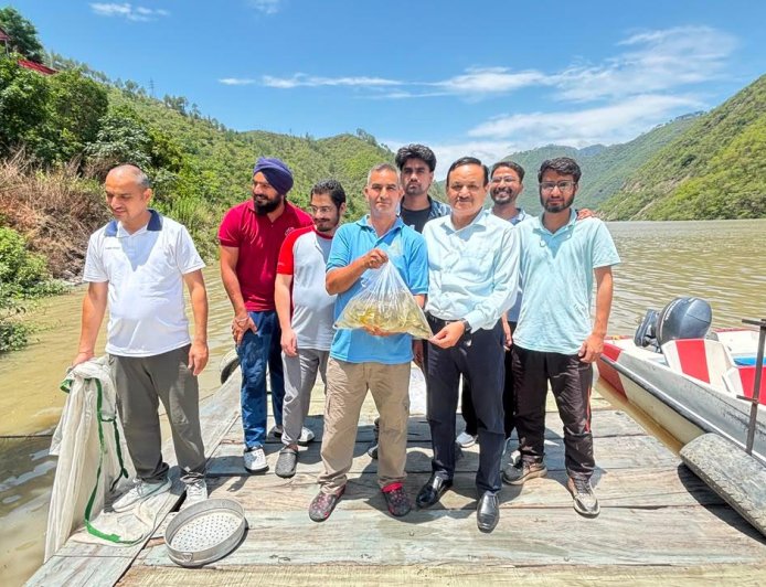 अलकनंदा में छोड़ी गईं 7 हजार महाशीर मछलियां, नमामि गंगे से जैव-विविधता संरक्षण को मिला बल