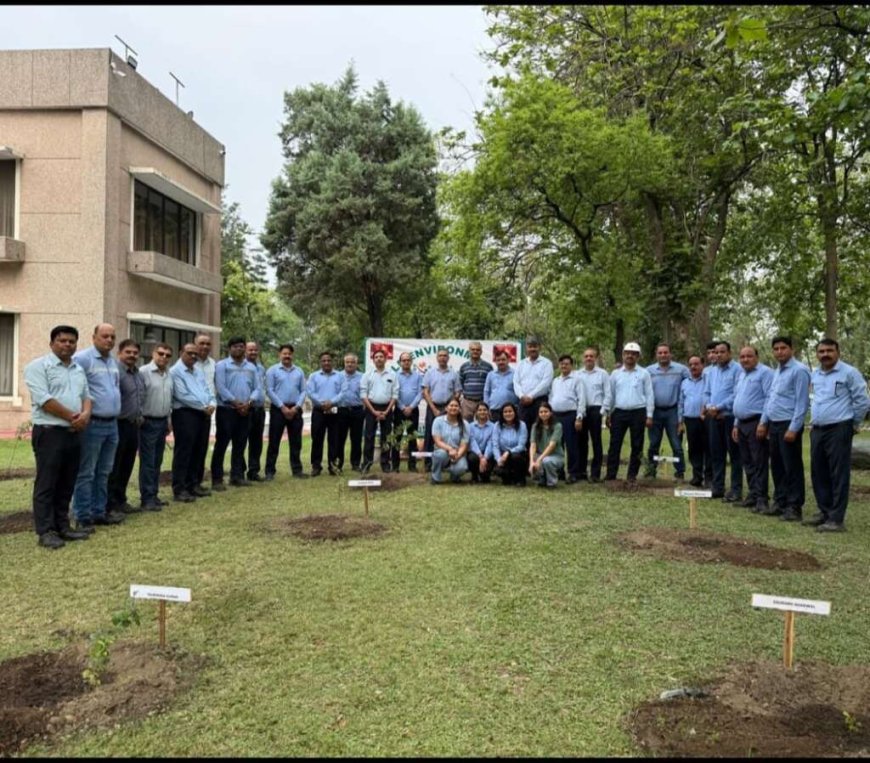 लालकुआं: सेंचुरी ने विश्व पर्यावरण दिवस पर ढाई लाख वृक्षारोपण का लक्ष्य रखा
