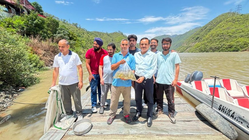 अलकनंदा में छोड़ी गईं 7 हजार महाशीर मछलियां, नमामि गंगे से जैव-विविधता संरक्षण को मिला बल