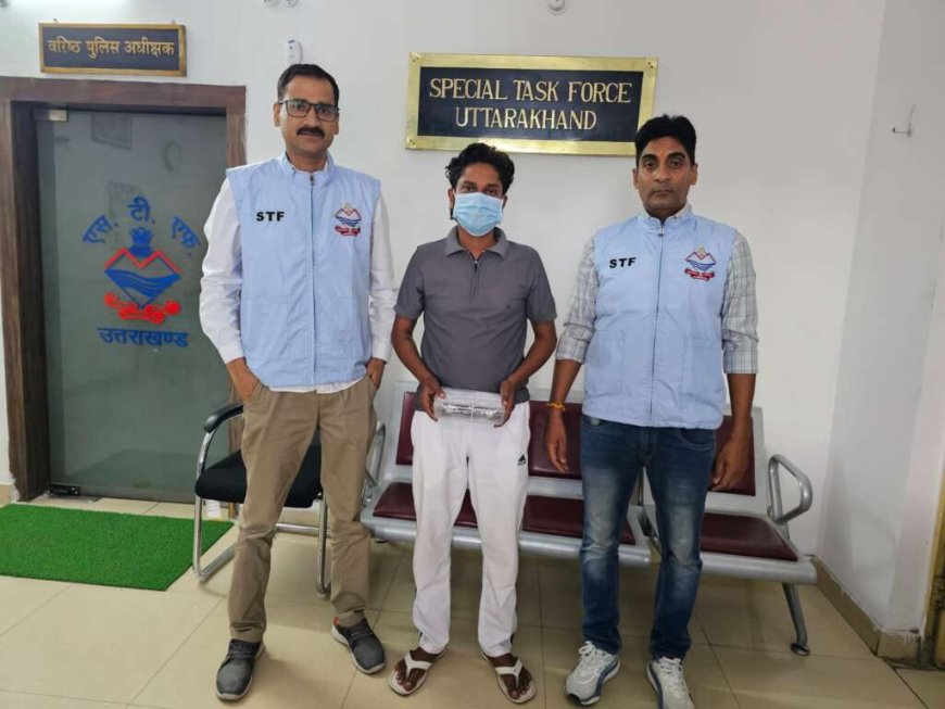 उत्तराखंड में ट्रामाडोल तस्करी का बड़ा खुलासा: एसटीएफ ने फिर पकड़ा गिरोह का सदस्य