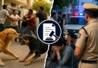 कुत्तों के विवाद में दरोगा के परिवार पर क्रॉस एफआईआर, दोनों पक्षों में मुकदमे का सिलसिला जारी