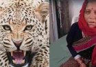 65 वर्षीय पहाड़ी महिला ने गुलदार से मुकाबला कर बचाई जान, लिया अद्वितीय साहसिक कदम